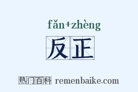 反正是什么意思的图片